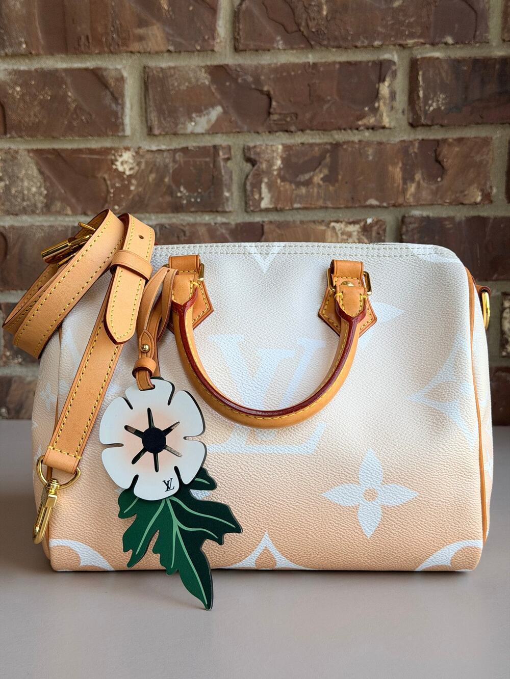Louis Vuitton Speedy Bandouliere Bag By The Pool Monogram Giant 25 67435
